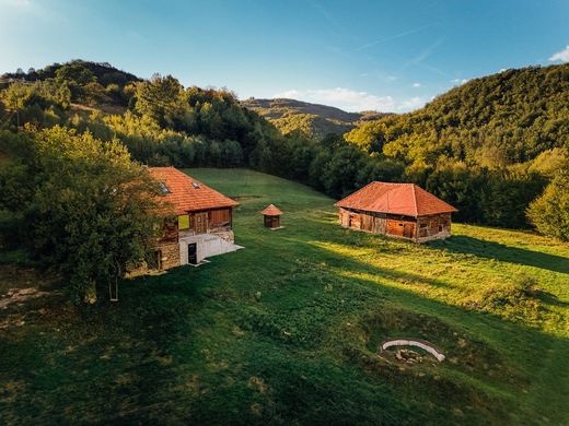 Vrijstaand huis in Negreni, Comuna Frânceşti-Mânăstireni