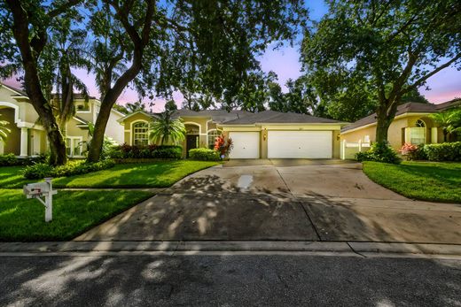 Dover, Hillsborough Countyの一戸建て住宅