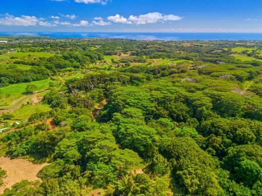 토지 / Kapa‘a, Kauai County