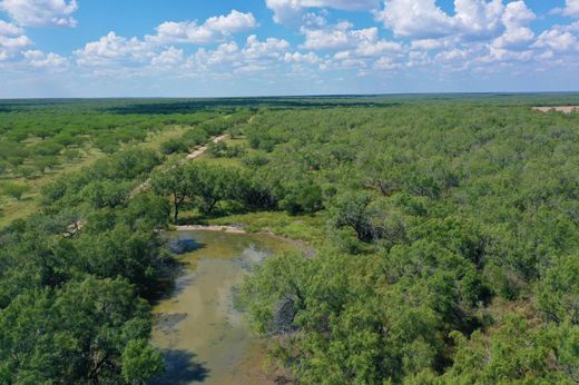 Country House in San Carlos, Starr County