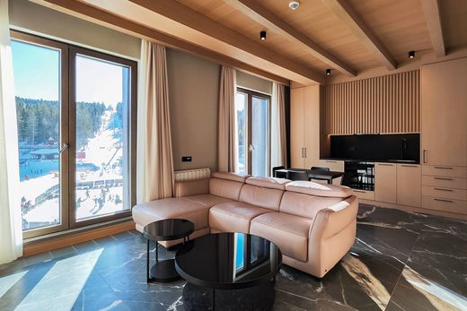 Piso / Apartamento en Kopaonik, Raška