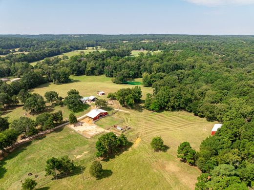Country House in Palestine, Anderson County