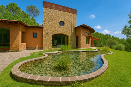 단독 저택 / Concepción de Buenos Aires, Estado de Jalisco