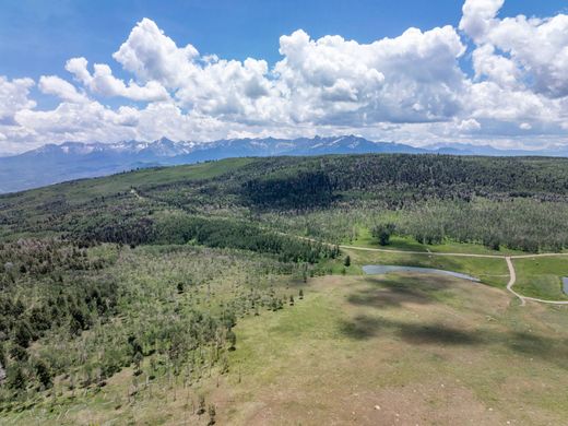 Участок, Ridgway, Ouray County