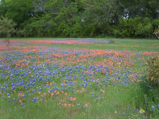 Land in Belton, Bell County