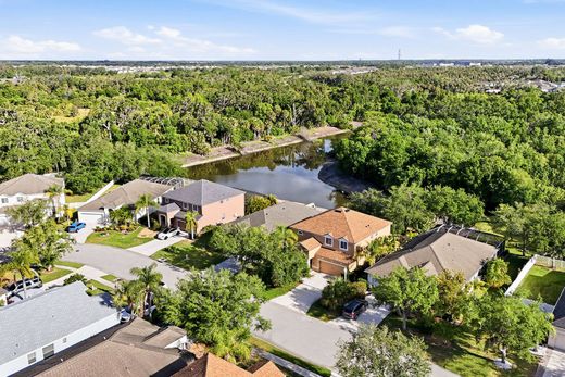 Detached House in Ellenton, Manatee County