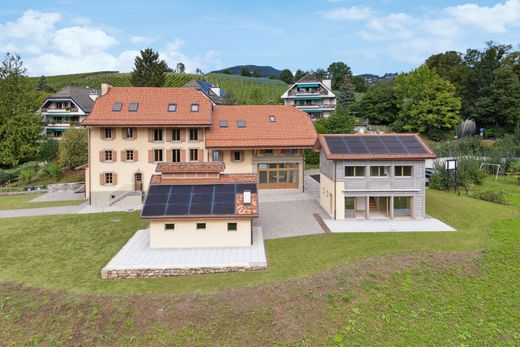 Einfamilienhaus in La Tour-de-Peilz, Riviera-Pays-d'Enhaut District