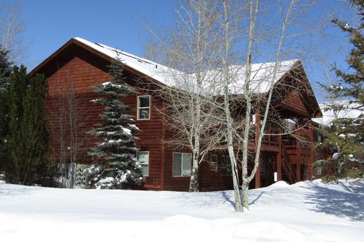 Apartment in Victor, Teton County