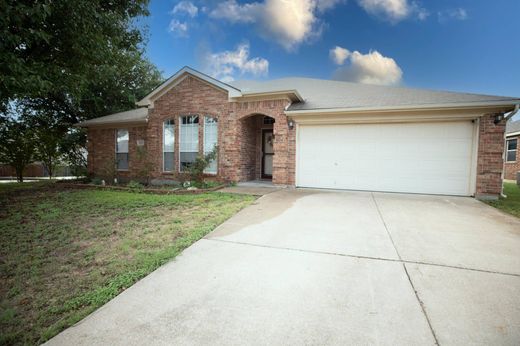 Fort Worth, Tarrant Countyの一戸建て住宅