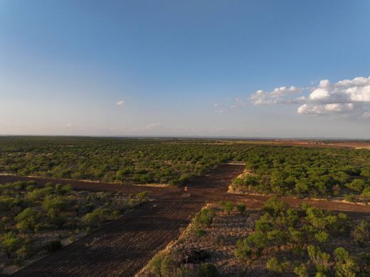 Landsitz in Sabinal, Uvalde County