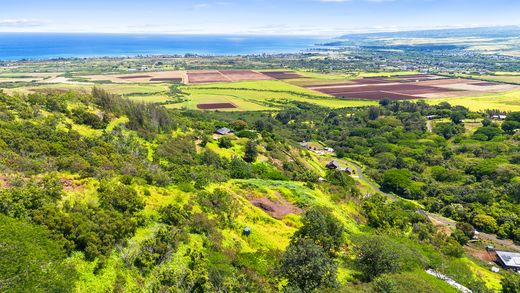 地皮  Waialua, Honolulu County