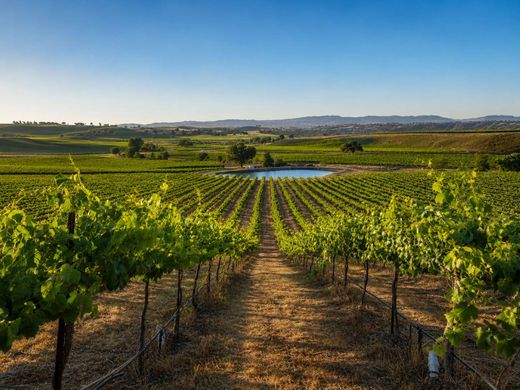 Grundstück in Paso Robles, San Luis Obispo County