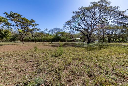 Terreno en Nosara, Nicoya