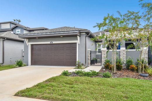 Luxury home in Lutz, Hillsborough County