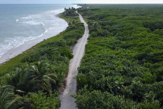 Land in Othón P. Blanco, José María Morelos