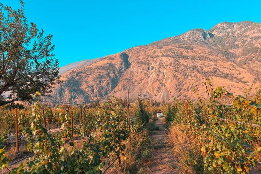Ferme à Cawston, Regional District of Okanagan-Similkameen
