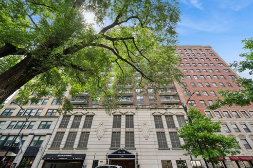 Luxury home in Chicago, Cook County