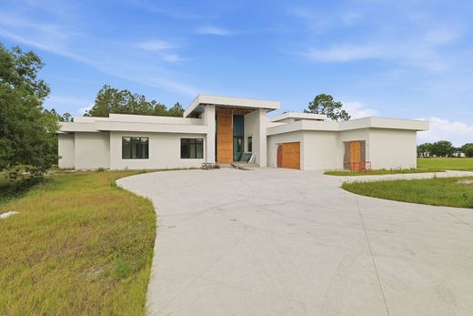Einfamilienhaus in Thonotosassa, Hillsborough County