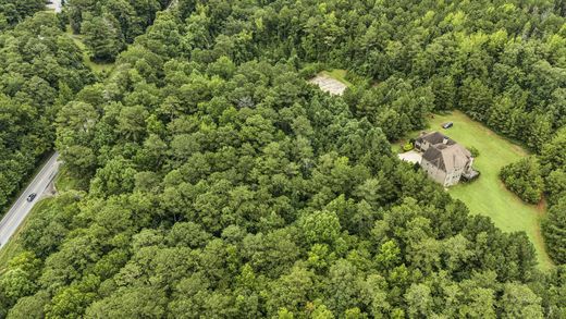 단독 저택 / Stockbridge, Henry County