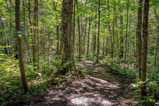 ‏קרקע ב  Saint-Donat, Lanaudière