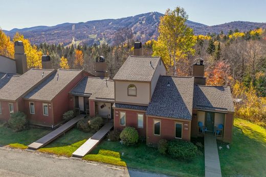 ﺷﻘﺔ ﻓﻲ Dover, Windham County