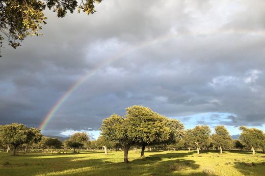 Landsitz in Ciudad Real, Südkastilien