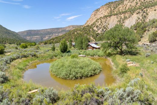 独立式房屋  Mancos, Montezuma County