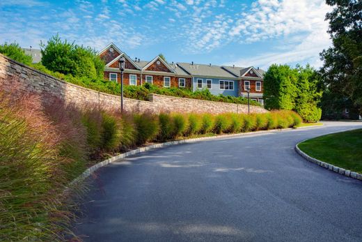 Dom jednorodzinny w Southampton, Suffolk County