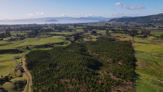 Arsa Hamurana, Rotorua District