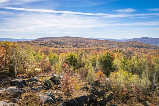 Arsa Shefford, Montérégie