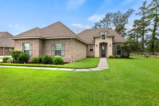 Ponchatoula, Tangipahoa Parishの一戸建て住宅