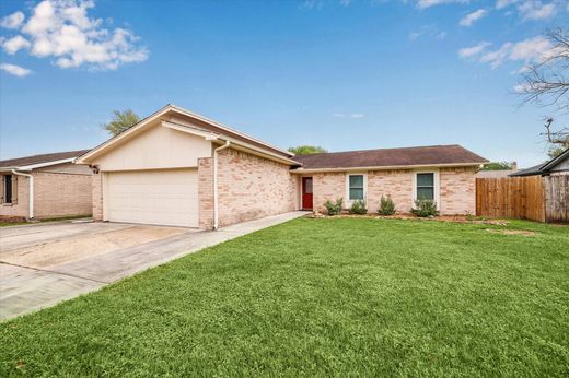 단독 저택 / Deer Park, Harris County