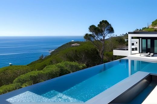 단독 저택 / Pacific Palisades, Los Angeles County