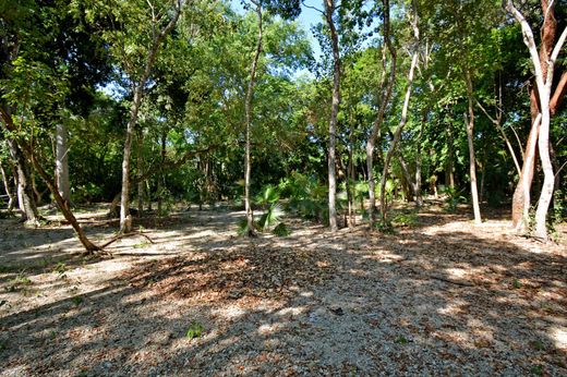 Terrain à Playa del Carmen, Solidaridad