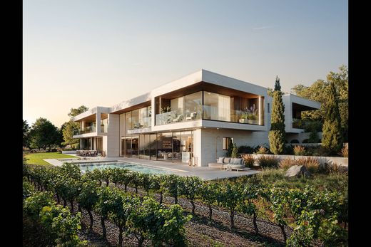 Detached House in Dully, Nyon District