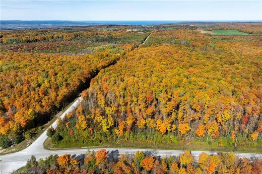 Terreno - The Blue Mountains, Ontario