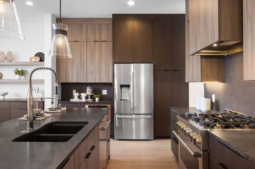 Hôtel particulier à Saint Louis, Ville de Saint Louis