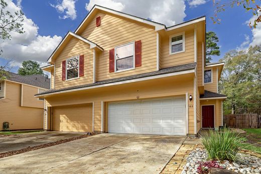 Apartment in The Woodlands, Montgomery County