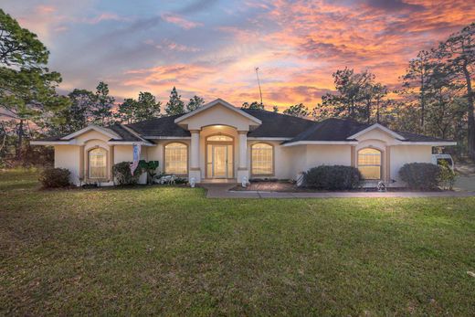 Vrijstaand huis in Dunnellon, Marion County