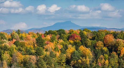 Charlotte, Chittenden Countyの土地