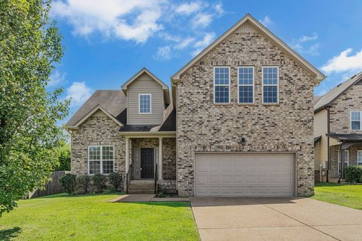 独立式房屋  Antioch, Davidson County