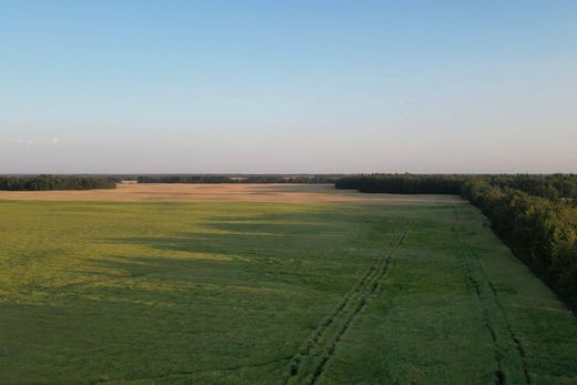 Luxe woning in Thorhild, Alberta