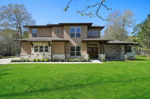 Detached House in Conroe, Montgomery County