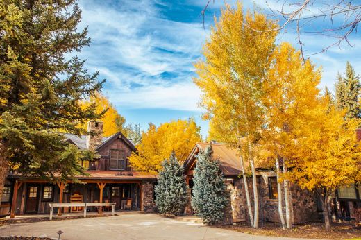 단독 저택 / Snowmass, Pitkin County