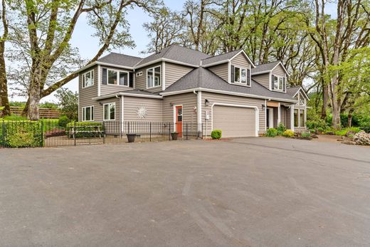 Luxury home in Dallas, Polk County