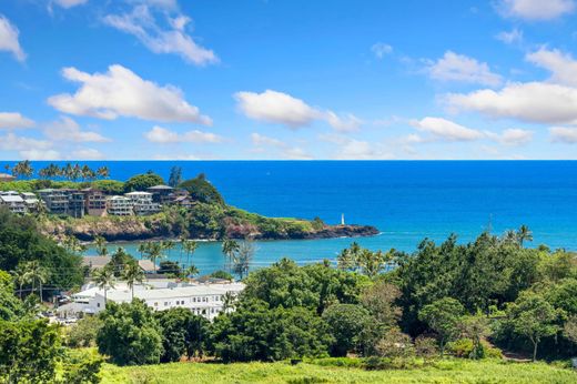 Μονοκατοικία σε Lihue, Kauai County