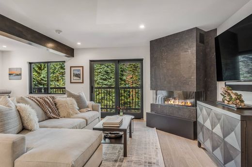 Dom miejski w Aspen, Pitkin County