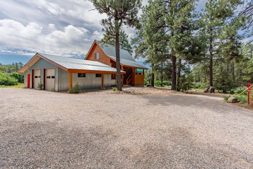 Casa de luxo - Durango, La Plata County