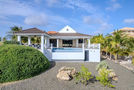 Vrijstaand huis in Sint Michiel