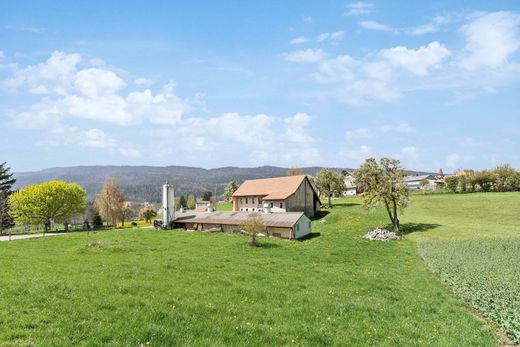 Propriété de campagne à Longirod, Nyon District